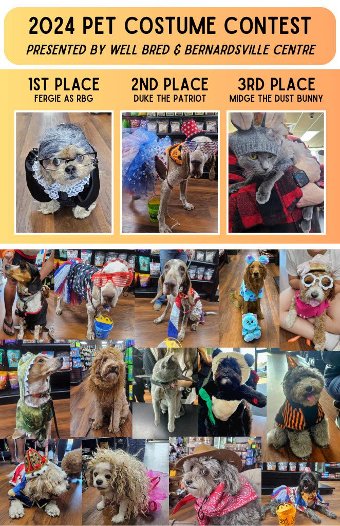 Bernardsville Centre Pet Costume Contest by Well Bred Pet Store